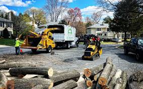 Best Firewood Processing and Delivery  in Sea Isle City, NJ