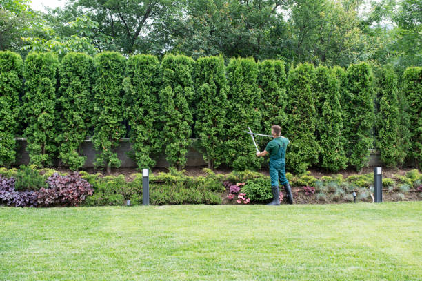 Landscape Design and Installation in Sea Isle City, NJ