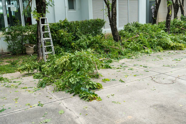 Best Lawn Irrigation Installation and Maintenance  in Sea Isle City, NJ