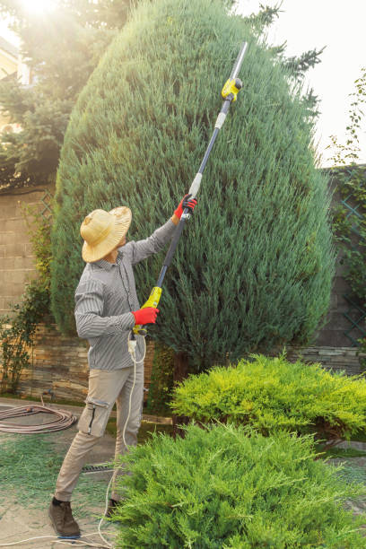 Best Lawn Mowing  in Sea Isle City, NJ